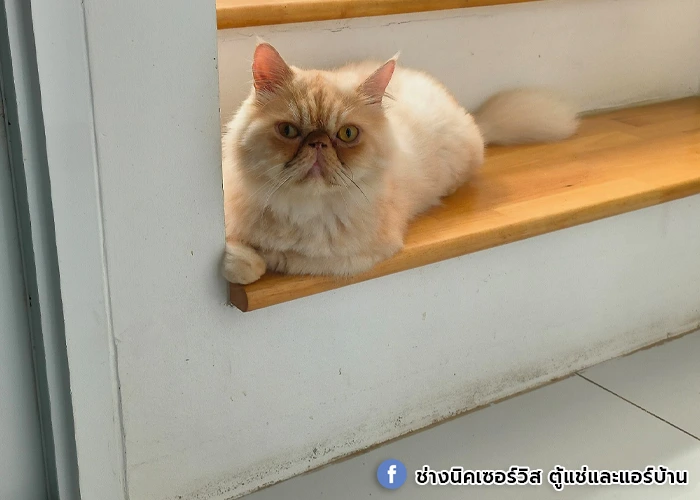 ส่งงานล้างแอร์ 7 ชุด สะอาด รวดเร็ว ทันใจ👍